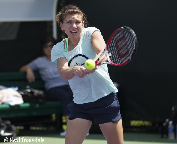 Galerie foto exclusiva - Halep
